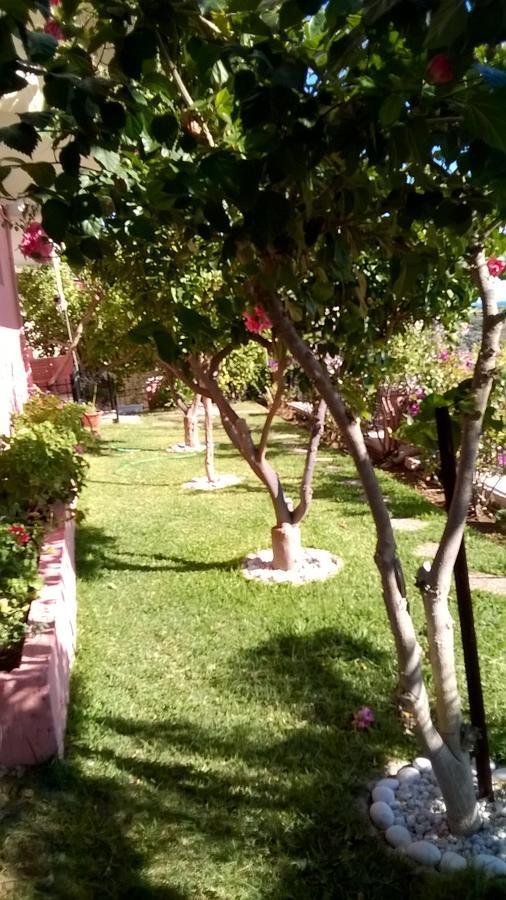 Villa Sunset Παραλία Βράχου Εξωτερικό φωτογραφία